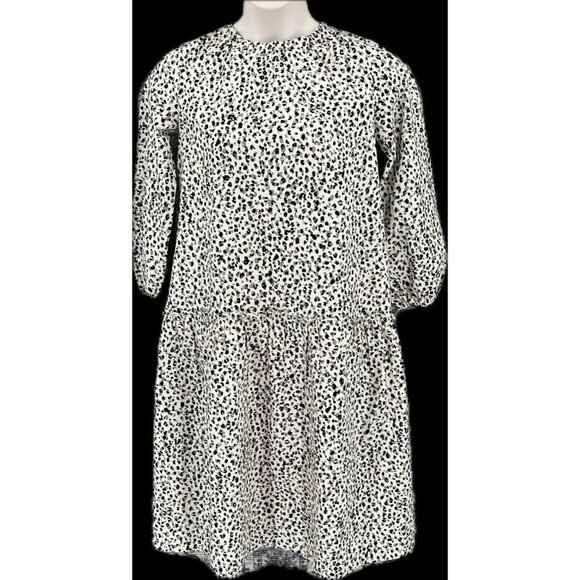 Who What Wear Dropped Waist Dress Size XS (Fits M-L) Leopard Print Long Sleeve - Picture 1 of 12